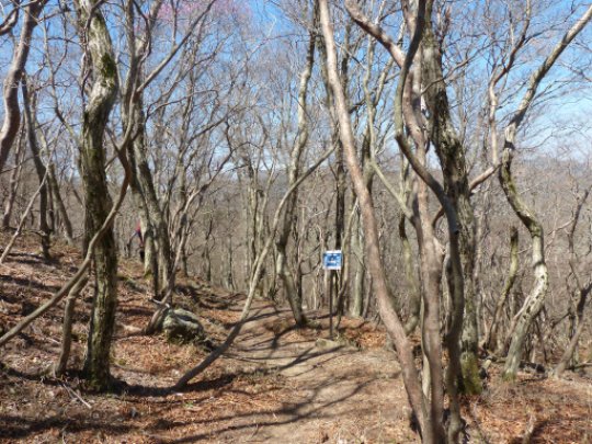 ハライド・伊勢谷(ブナ清水)分岐